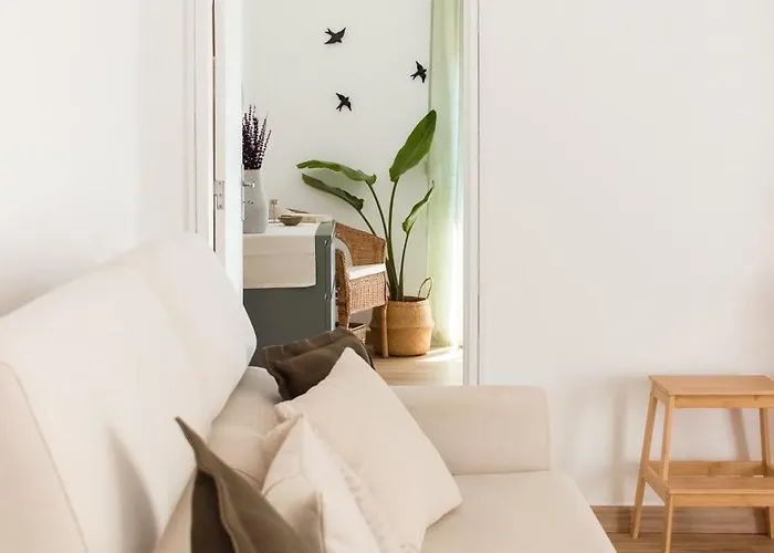 Appartement Cegonha Branca Flat *